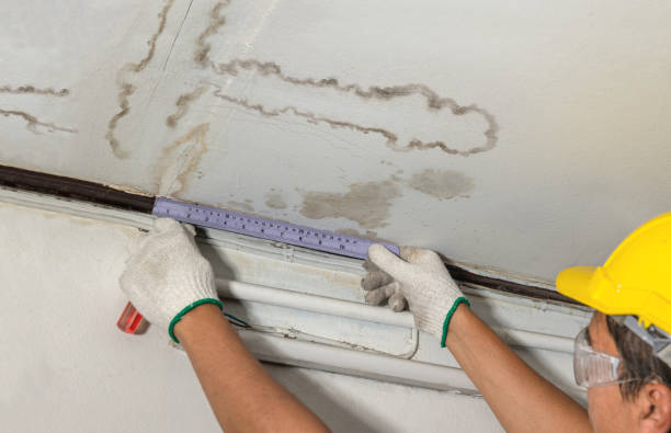 Reliable Water Damage contractor in Sparta, OH by Water Damage Irwin